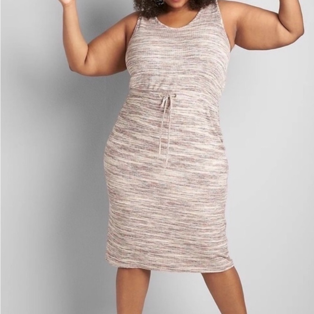 Lane Bryant Multicolor Knit Dress